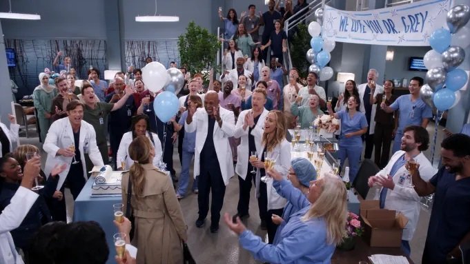 greys anatomy