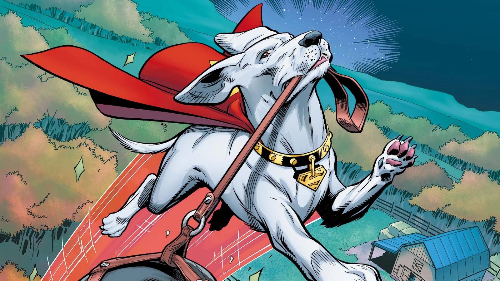 Krypto 6 curiosidades