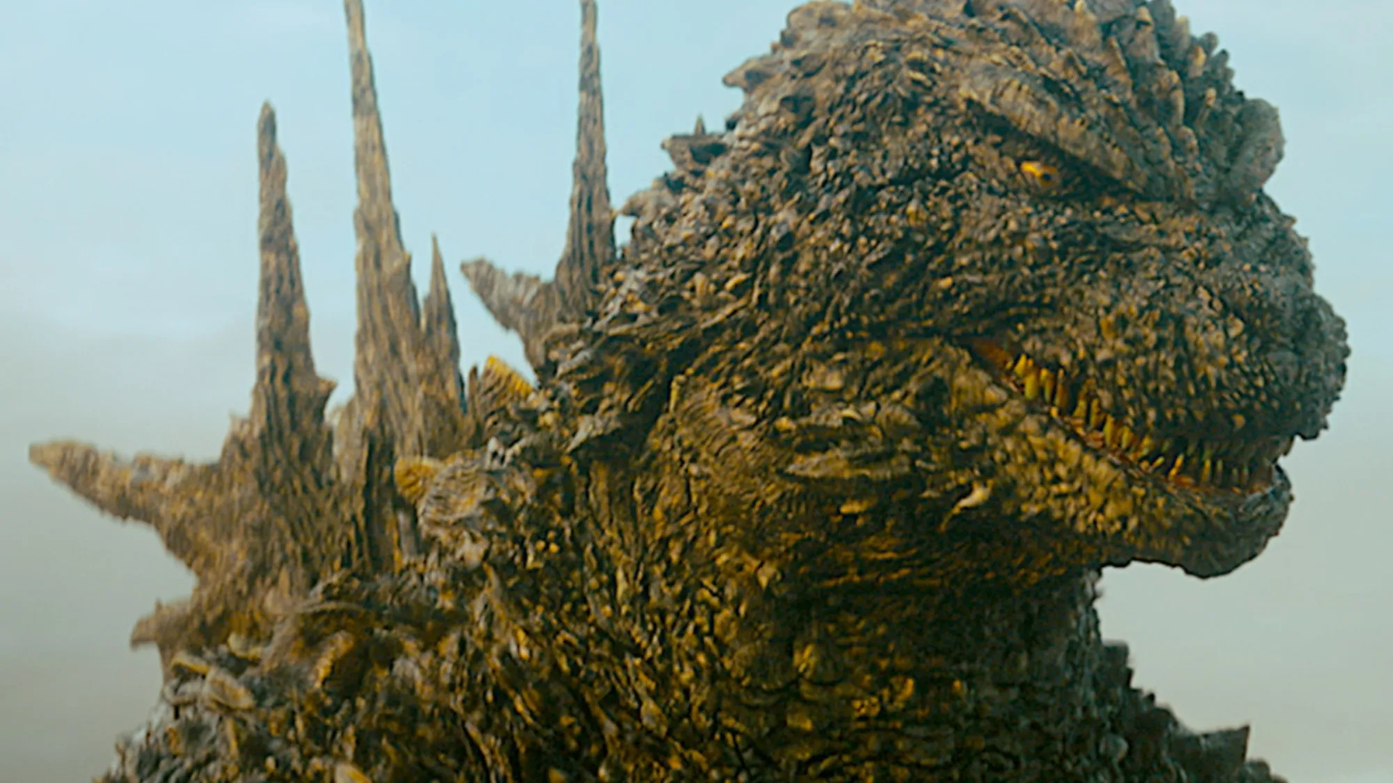 Godzilla Minus One Sequência