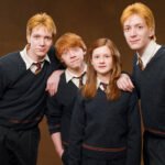 família Weasley completa