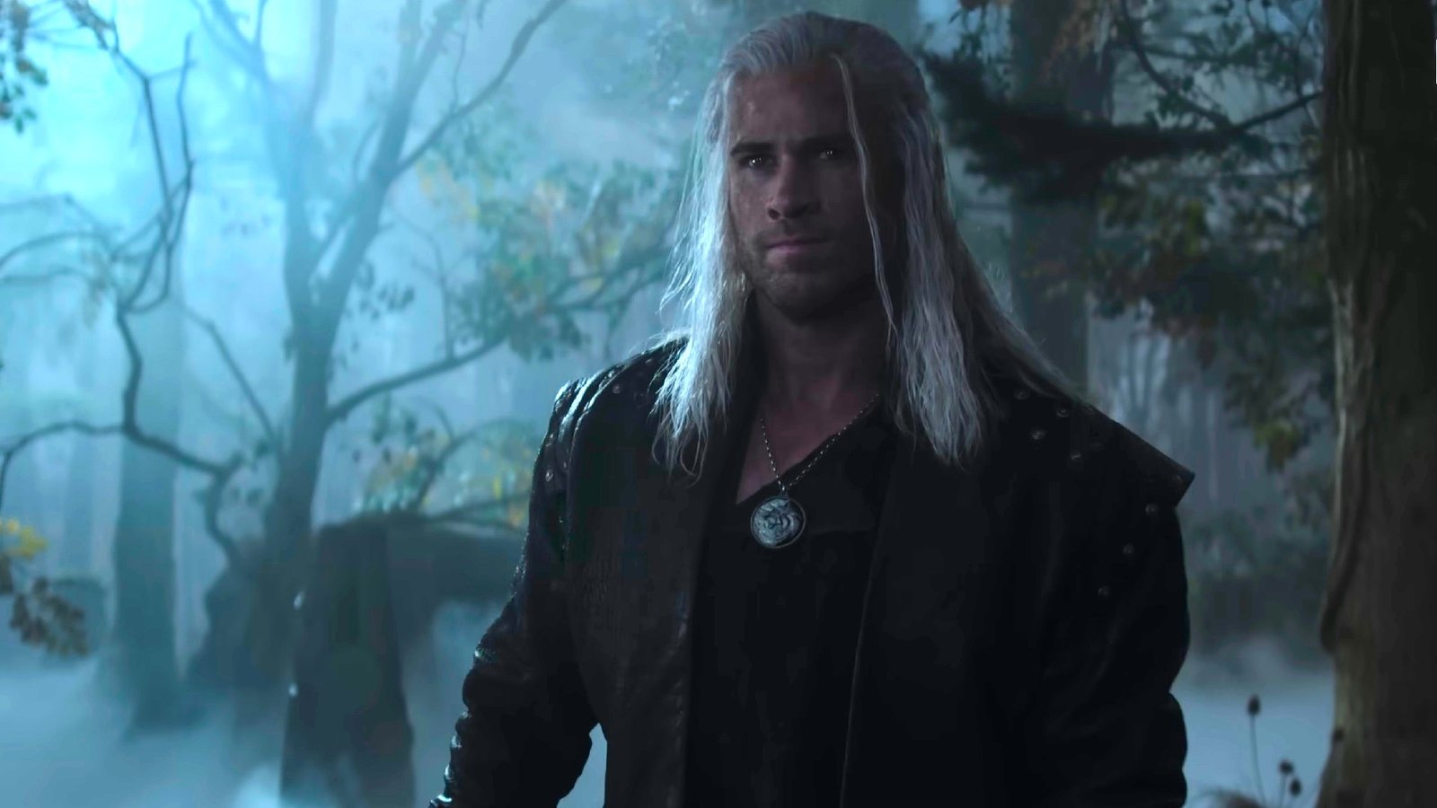 The Witcher Liam Hemsworth
