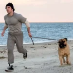 I Play Rocky Stallone