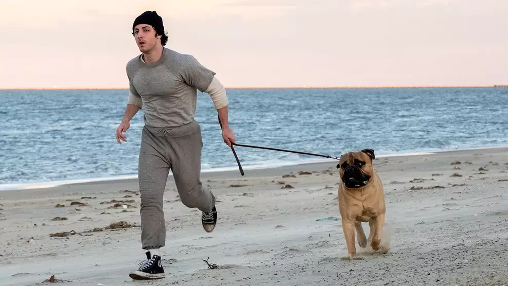 I Play Rocky Stallone