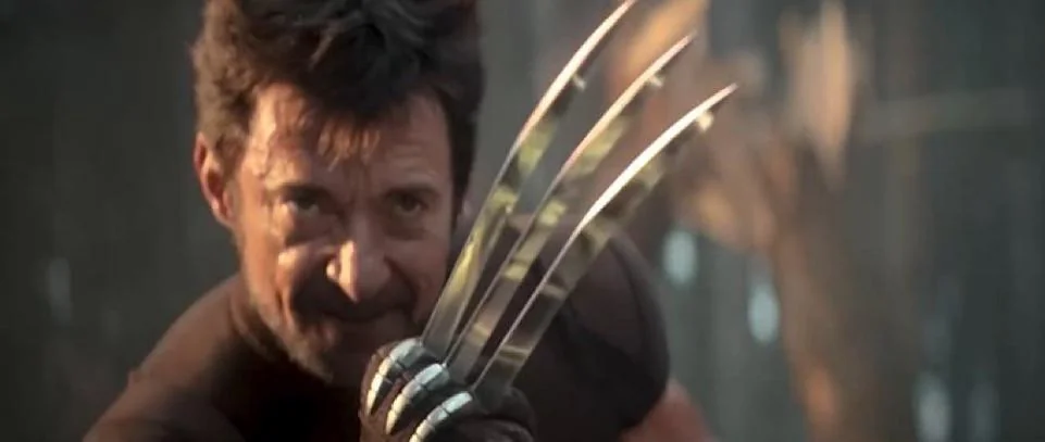 Wolverine vs Hulk Seedance