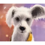 Krypto filhote Supergirl