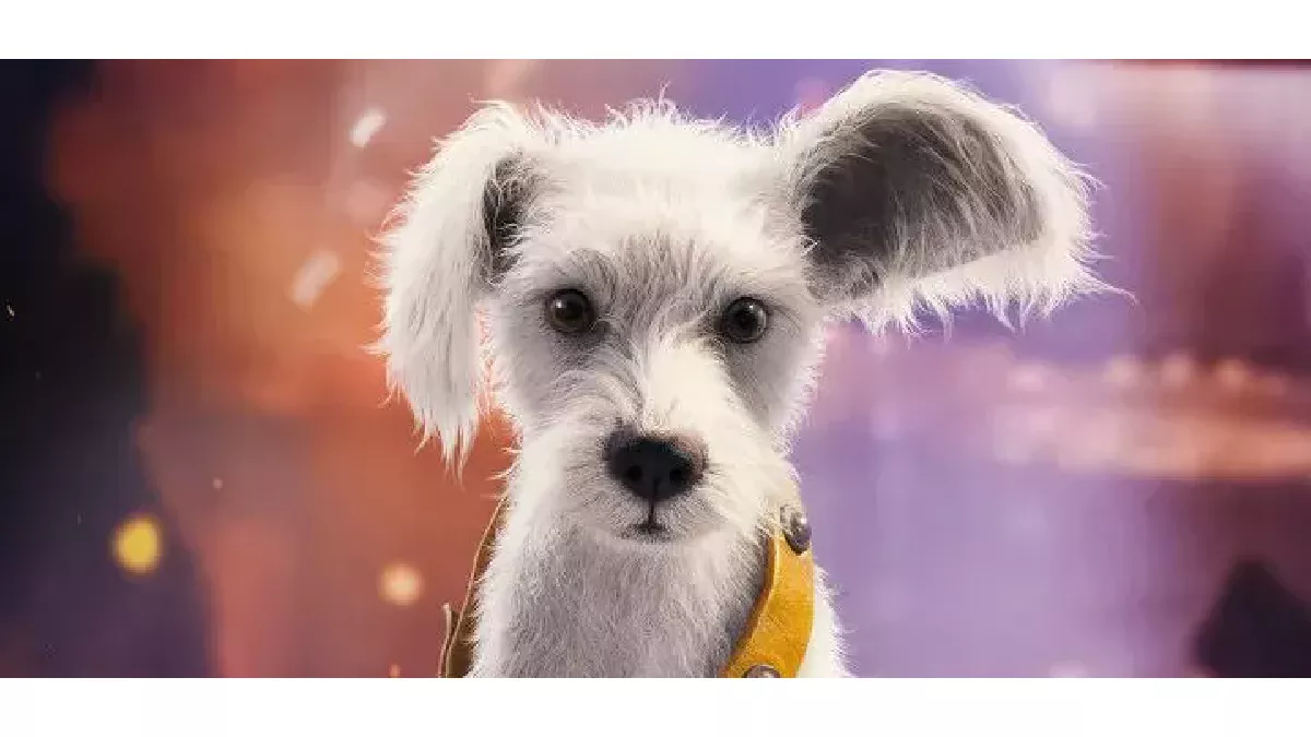 Krypto filhote Supergirl