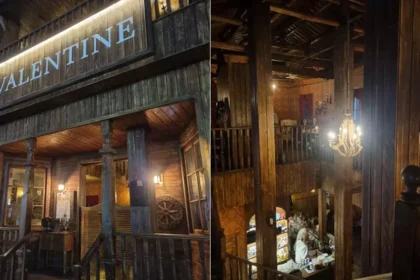 Red Dead Redemption bar