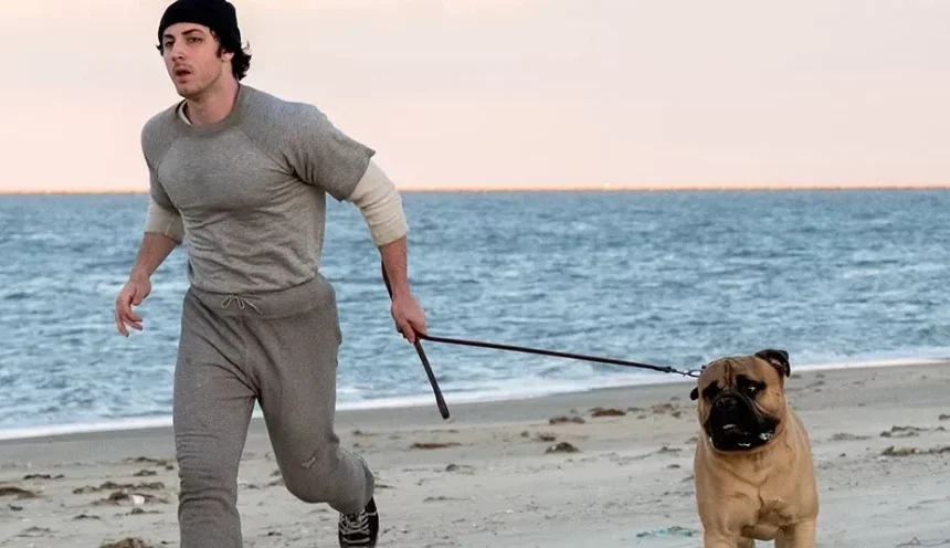 trailer de I Play Rocky