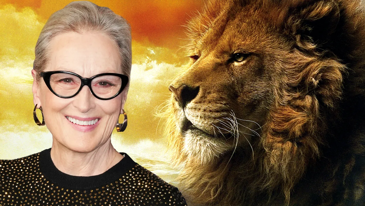 Meryl Streep Aslan